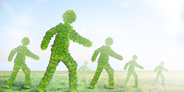 /social-responsibility/